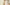 What Shapewear Color Should You Wear Under Your Wedding Dress? A Bride’s Guide to Choosing the Right Shade