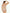Maidenform Tummy Curvy Shaping Brie back